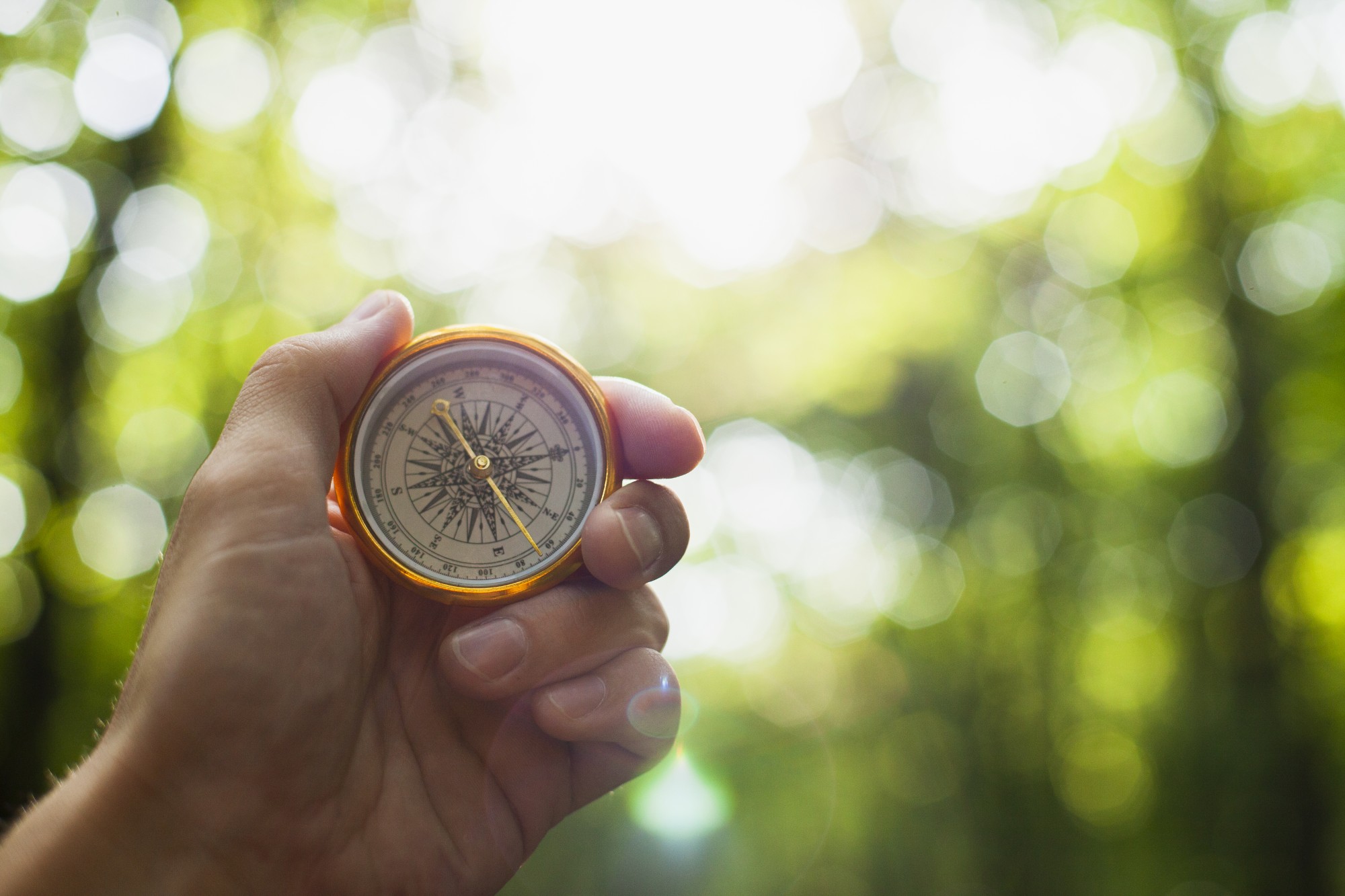 hand holding compass with blurred background